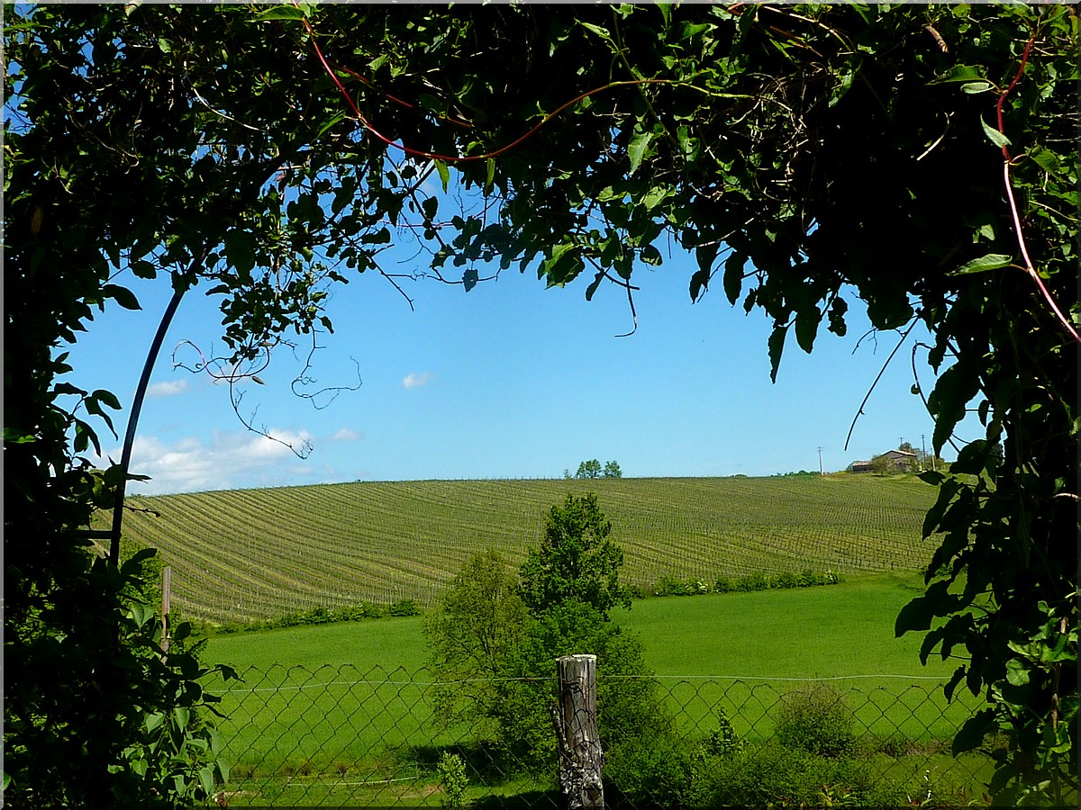 vue de chez laurence et jean mi